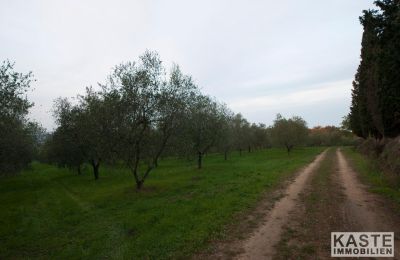 Monastero in vendita Peccioli, Toscana:  