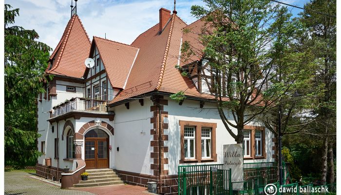 Villa storica Świeradów-Zdrój 2