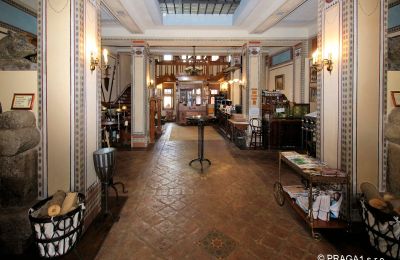Castello in vendita Jihočeský kraj, Sala d'ingresso