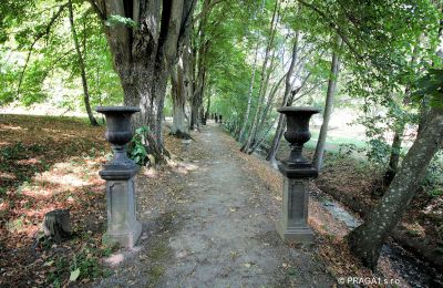 Castello in vendita Jihočeský kraj, Parco