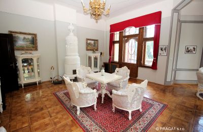 Castello in vendita Jihočeský kraj, Foto 6/21