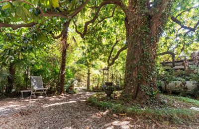 Villa storica in vendita Verbano-Cusio-Ossola, Pallanza, Piemonte:  Giardino