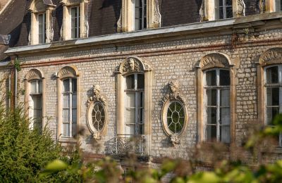 Castello in vendita Louviers, Normandia, Dettagli