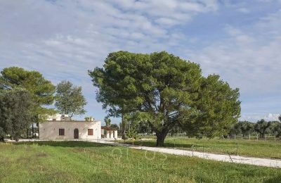 Casa rurale in vendita Francavilla Fontana, Puglia:  Vista esterna