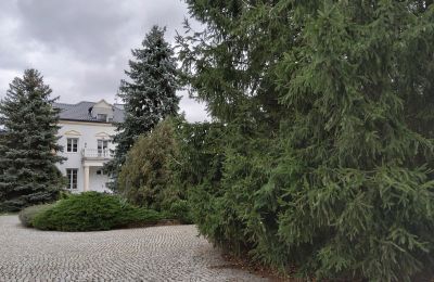 Casa padronale in vendita Zarębów, Dwór w Zarębowie, województwo łódzkie:  