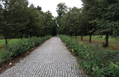 Villa padronale in vendita Zarębów, Dwór w Zarębowie, Łódź, Vialetto