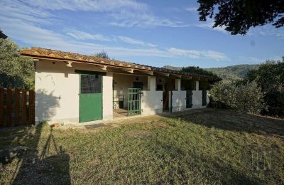 Villa storica in vendita Castiglion Fiorentino, Toscana, Foto 44/45