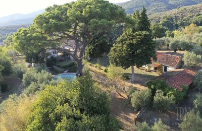 Villa storica in vendita Castiglion Fiorentino, Toscana, Foto 17/45