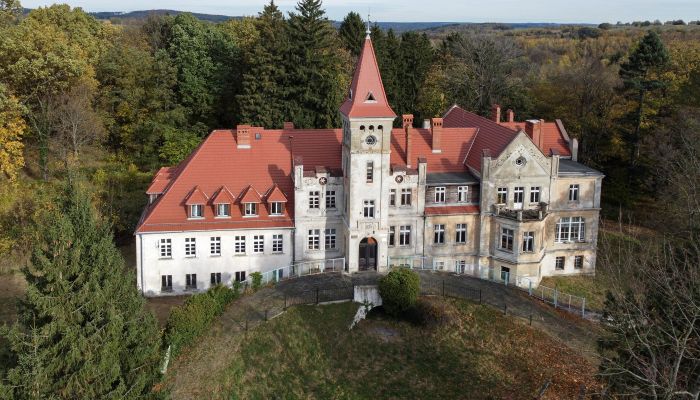 Palazzo in vendita Grabiszyce Średnie, Bassa Slesia,  Polonia
