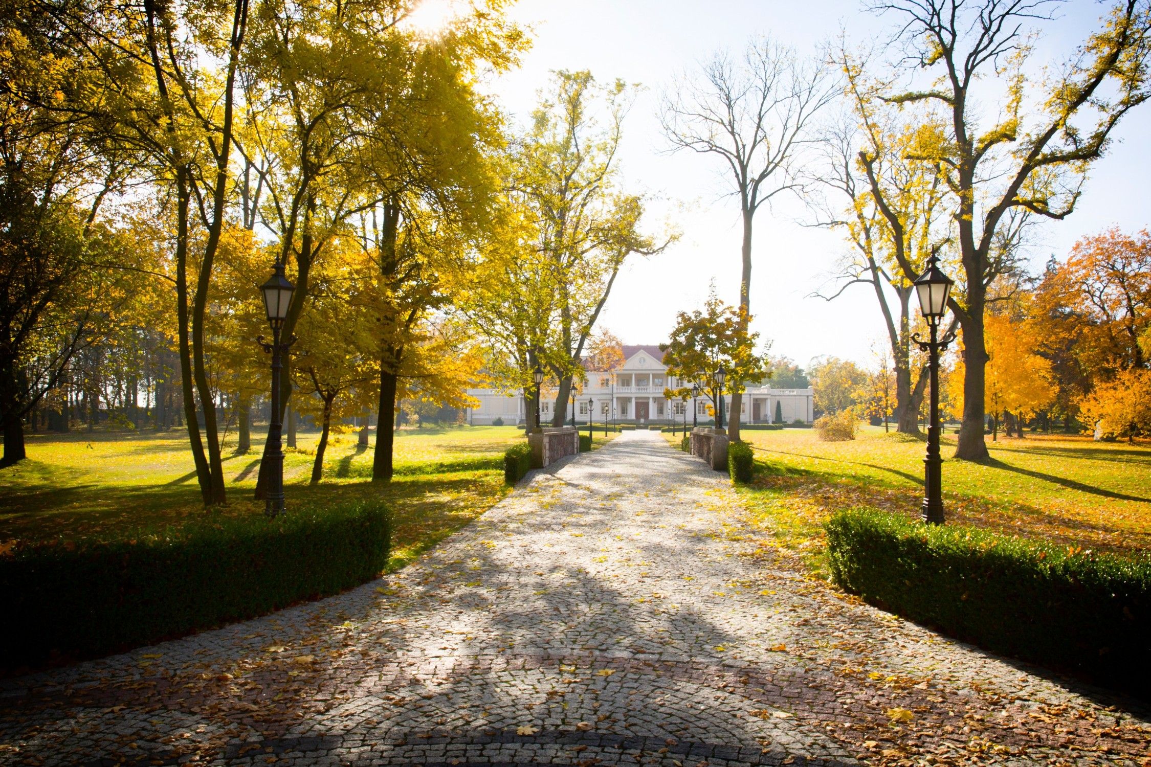 Immagini Casa padronale e parco a Zborów, regione di Wielkopolska