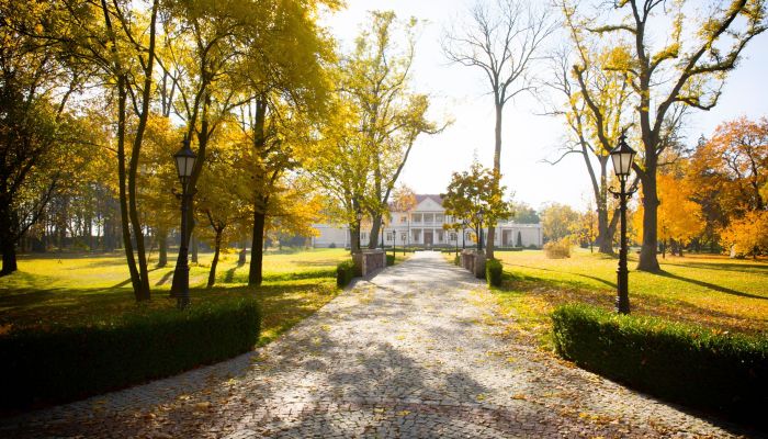 Casa padronale Zborów, Wielkopolska