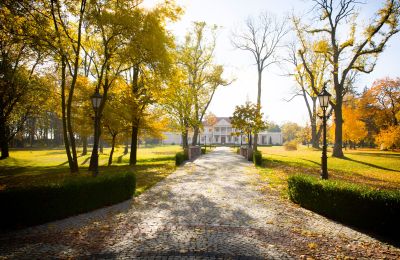 Casa padronale Zborów, Wielkopolska