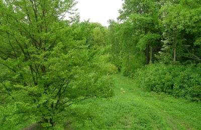 Palazzo in vendita Gwoździany, Spółdzielcza 4a, Voivodato della Slesia:  Parco