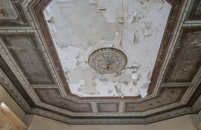 Castello in vendita Głuchowo, Palac 1, Grande Polonia, Foto 9/29