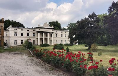 Castello in vendita Głuchowo, Palac 1, Grande Polonia, Vialetto