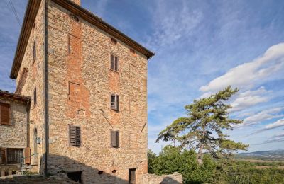 Immobili di carattere, Antica torre di guardia nei pressi di Umbertide con uliveto