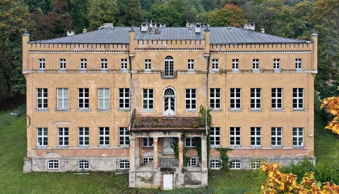 Castello in vendita powiat gorzowski, gmina Witnica, Dąbroszyn