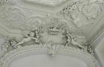 Castello in vendita Dąbroszyn, Pałac w Dąbroszynie, Lubusz,  © Stowarzyszenie Templum