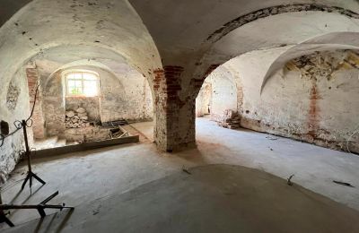 Castello in vendita Dąbroszyn, Pałac w Dąbroszynie, Lubusz, Seminterrato