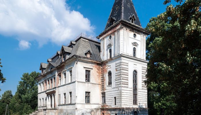 Palazzo in vendita Budziwojów, Bassa Slesia,  Polonia