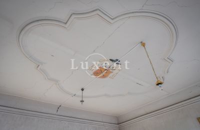 Castello in vendita Žitenice, Zámek Žitenice, Ústecký kraj, Decorazione a stucco