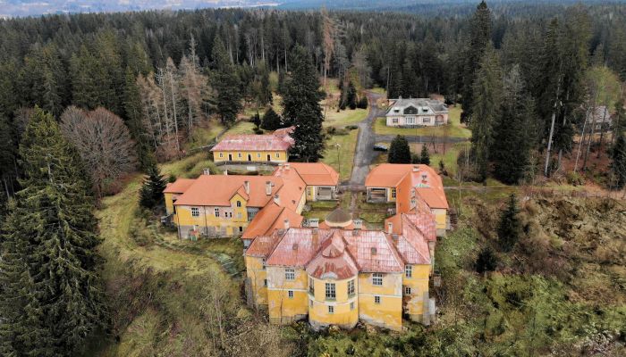 Casa padronale Karlovy Vary 3