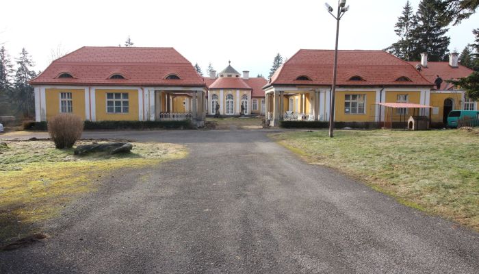 Casa padronale Karlovy Vary 2