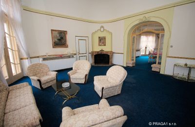 Villa padronale in vendita Karlovy Vary, Karlovarský kraj, Zona giorno
