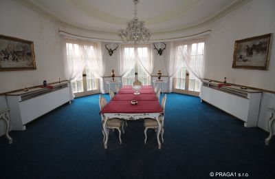 Casa padronale in vendita Karlovy Vary, Karlovarský kraj:  Vista interna 1