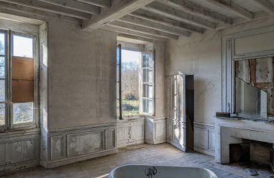 Castello in vendita Saintes, Nuova Aquitania, Vista interna 1
