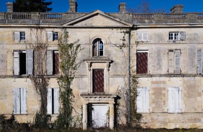 Castello in vendita Saintes, Nuova Aquitania, Foto 1/10