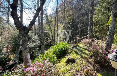 Villa padronale in vendita 36740 Tomiño, Galizia, Foto 20/37