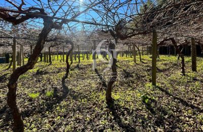 Casa padronale in vendita 36740 Tomiño, Galizia:  