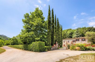Casa rurale in vendita Lucca, Toscana:  Vialetto