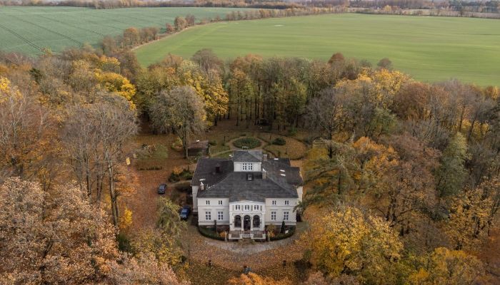 Villa padronale in vendita Lisewo, Pomerania,  Polonia