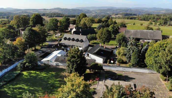 Casa padronale in vendita Levín, Ústecký kraj,  Repubblica Ceca