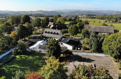 Villa padronale in vendita Levín, Ústecký kraj, Foto 1/19