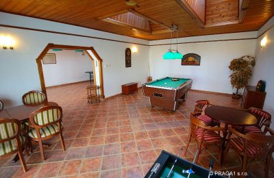 Villa padronale in vendita Levín, Ústecký kraj, Foto 15/19