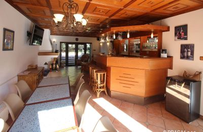 Villa padronale in vendita Levín, Ústecký kraj, Foto 6/19