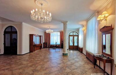 Castello in vendita Karlovy Vary, Karlovarský kraj, Foto 5/14