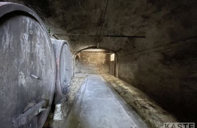 Villa storica in vendita Santo Pietro Belvedere, Toscana, Foto 13/14