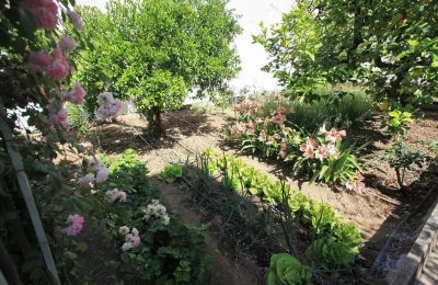 Palazzetto in vendita Oria, Via Tripoli, Puglia, Foto 27/27