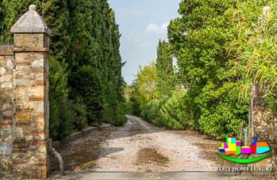 Casa rurale in vendita Livorno, Toscana:  Vialetto