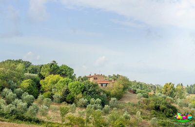 Casa di campagna in vendita Livorno, Toscana, Foto 15/16