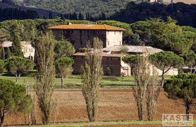 Villa padronale in vendita Buonconvento, Toscana, Foto 7/9