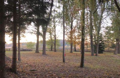 Villa padronale in vendita Broniszów, Lubusz, Foto 17/20