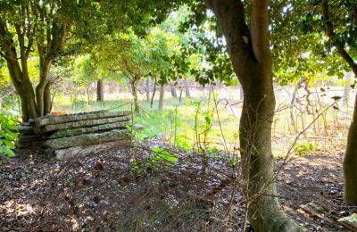 Villa padronale in vendita Viana do Castelo, Valença, Cristelo Covo e Arão, Arão, Portogallo-Nord, Foto 40/44