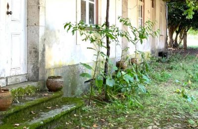 Villa padronale in vendita Viana do Castelo, Valença, Cristelo Covo e Arão, Arão, Portogallo-Nord, Foto 24/44