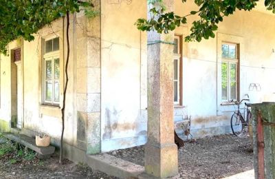 Villa padronale in vendita Viana do Castelo, Valença, Cristelo Covo e Arão, Arão, Portogallo-Nord, Foto 22/44