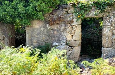 Villa padronale in vendita Viana do Castelo, Valença, Cristelo Covo e Arão, Arão, Portogallo-Nord, Foto 20/44